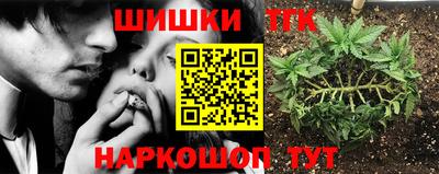 крисы Обь