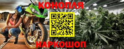 крисы Обь