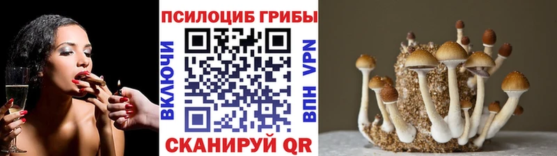 Псилоцибиновые грибы MAGIC MUSHROOMS Унеча