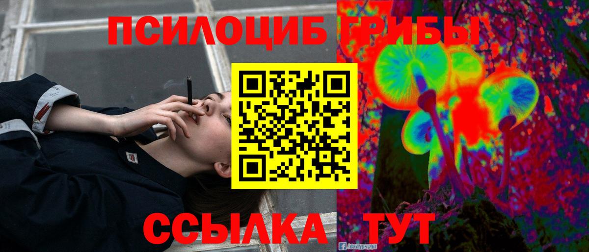 Галлюциногенные грибы Psilocybe  Вход с VPN  Унеча  Псилоцибиновые грибы прущие грибы 
