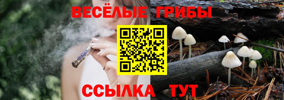Псилоцибиновые грибы мухоморы Унеча